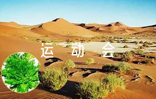 刻苦训练篮球时如何避免受伤的建议_0